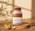 Colágeno Hidrolisado (Tipo I)
